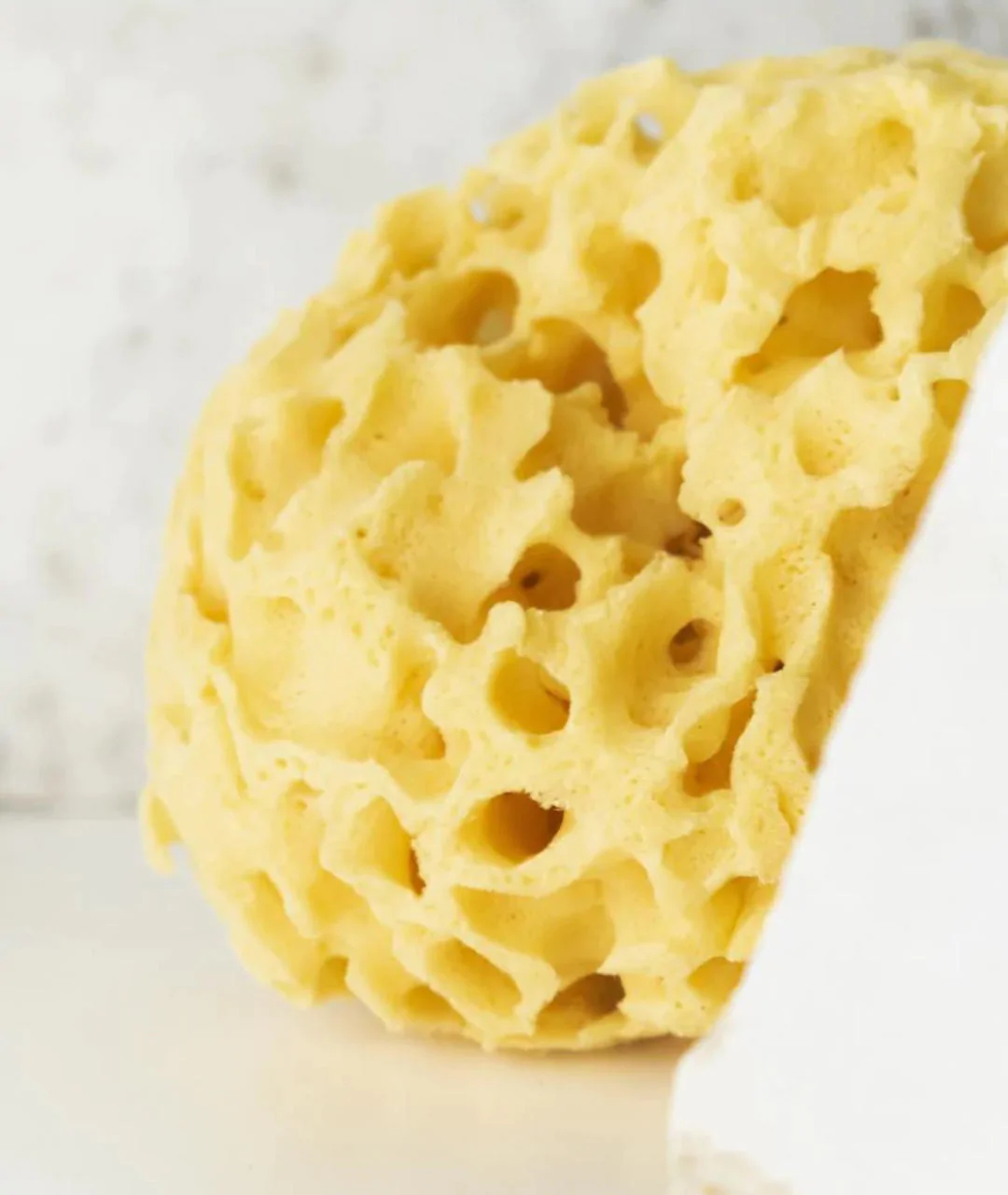 Natural sea sponge 9.5 cm 04H 4