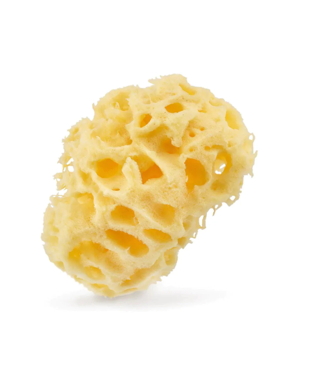 Natural sea sponge 9.5 cm 04H