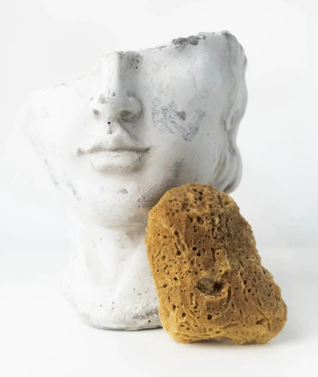 Natural sea sponge 9.5cm 02F 3