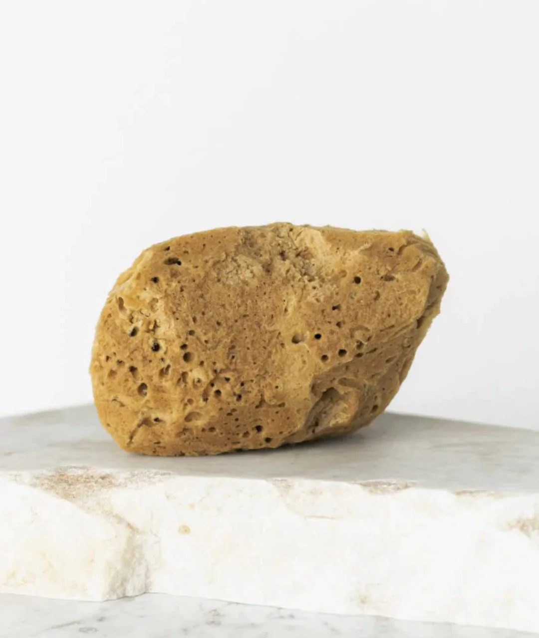 Natural sea sponge 9.5cm 02F 2