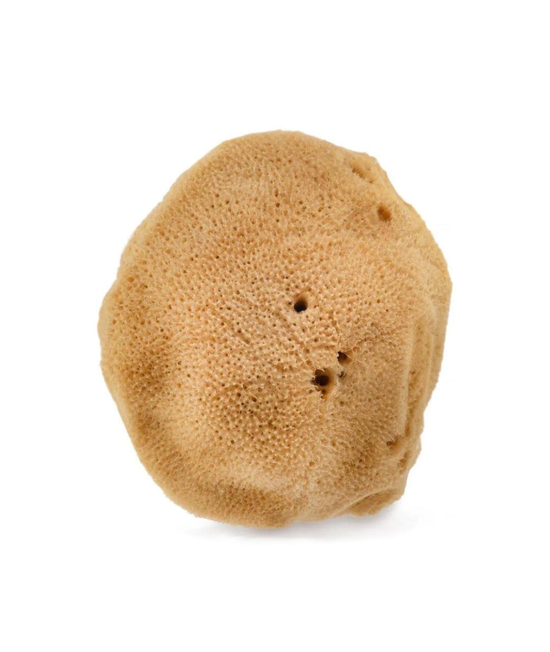 Hhuumm 02H Natural Sponge - Natural Sponge, brown, 17,5 cm