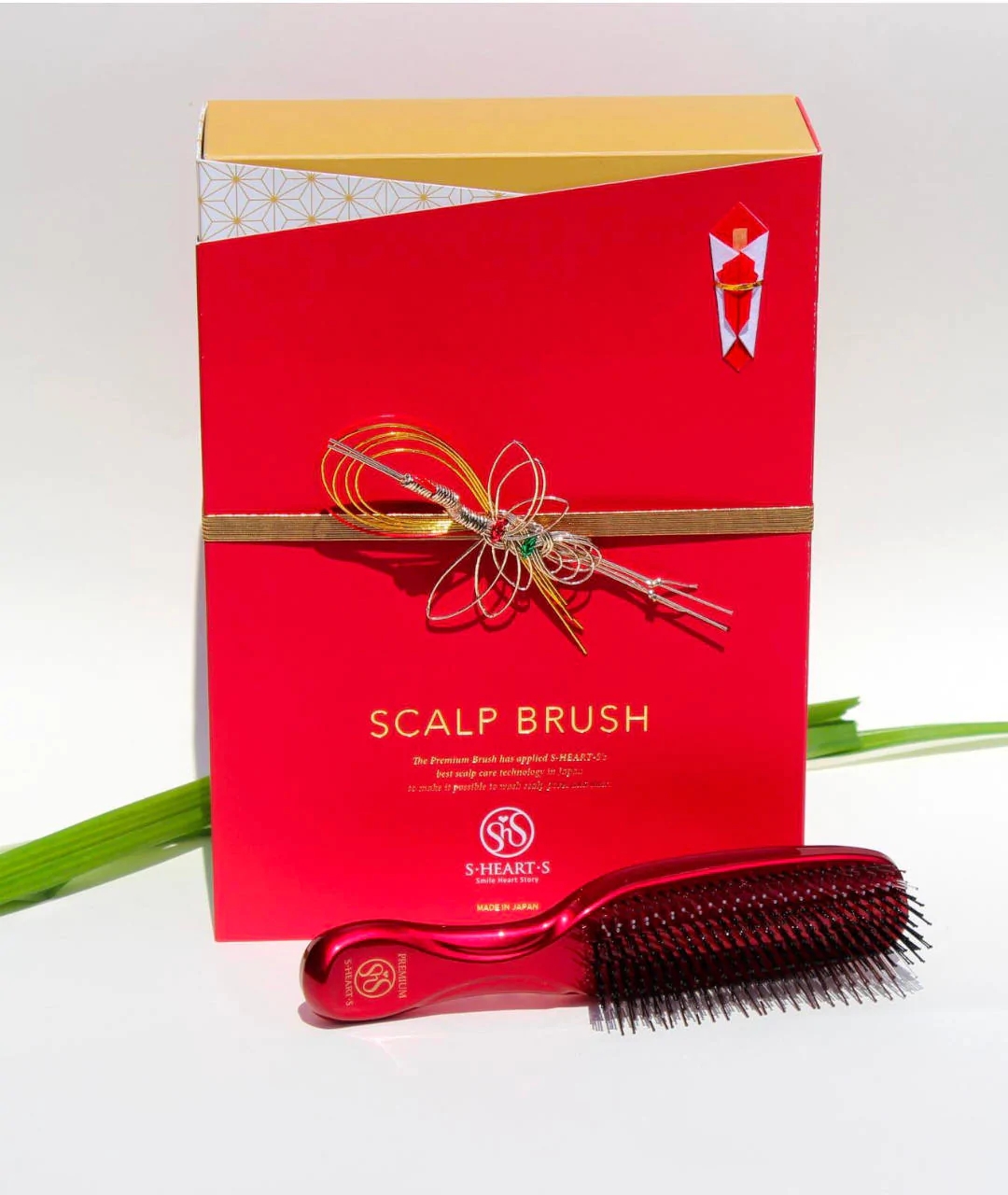 Scalp Brush World Model Premium Long with case 576 LIBERTY Ruby Red packaging