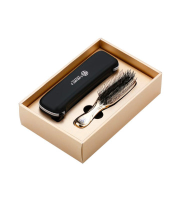 Scalp Brush World Model Premium Long with case 576 HAIR Champagne gold packaging - visualization