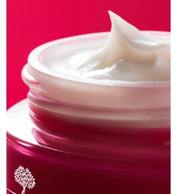 Merveillance Lift Cream for combination skin 50 ml - Nuxe 2