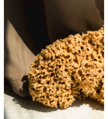 Natural sea sponge 17.5cm 02H - HHUUMM 6