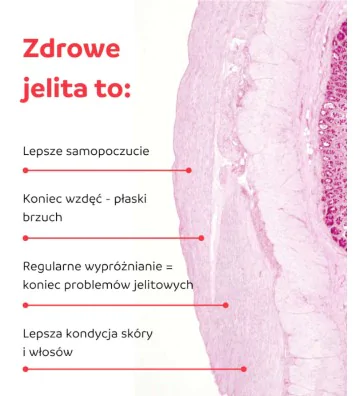 Colostrum i Mleko Klaczy kapsułki 180 szt. - Genactiv 3