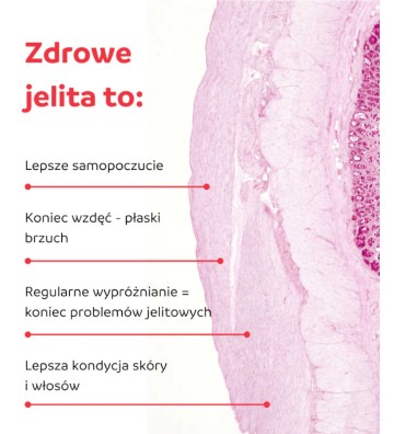 Colostrum Junior z czarnym bzem - tabletki do ssania 60 szt. - Genactiv 3