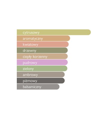 Woda perfumowana unisex Silver Absolute 100 ml - GULF ORCHID 3