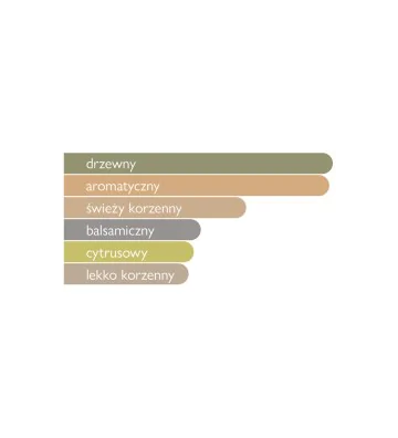 Woda perfumowana męska Shumookh 100 ml - GULF ORCHID 3