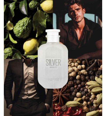 Woda perfumowana unisex Silver Absolute 100 ml - GULF ORCHID 2