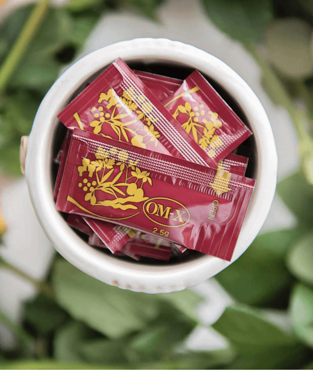 OM-X PREBIOTIC PASTE