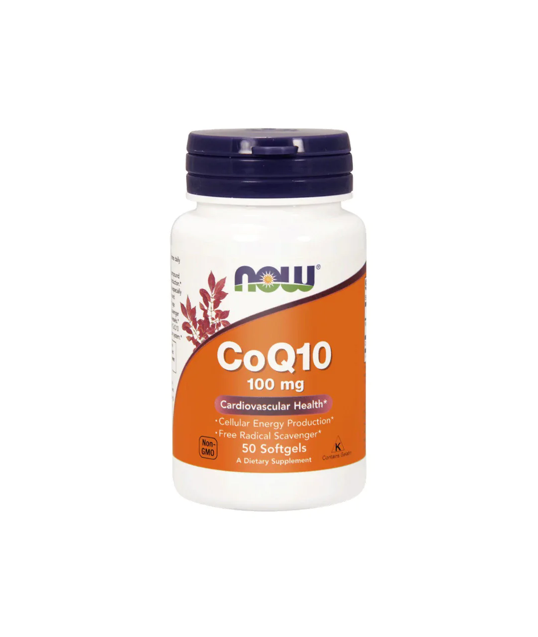 KOENZYM Q10 100 mg 50szt