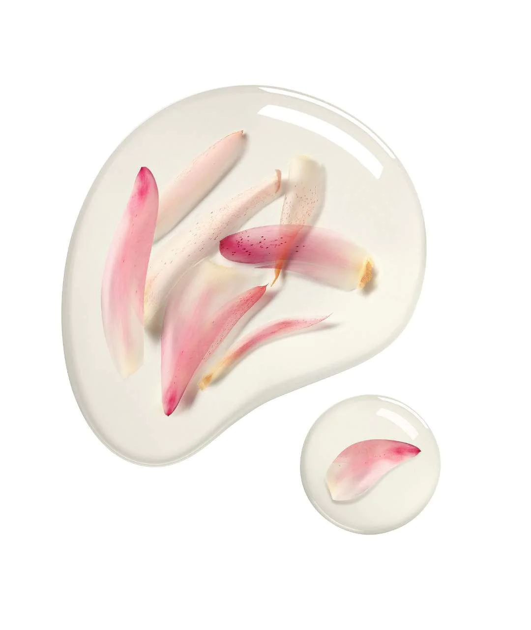 Facial Oil 30ml consistency