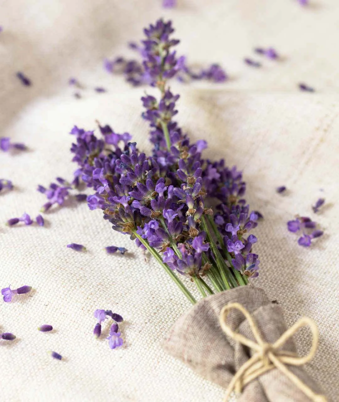 Organic lavender essential oil 10ml lavender