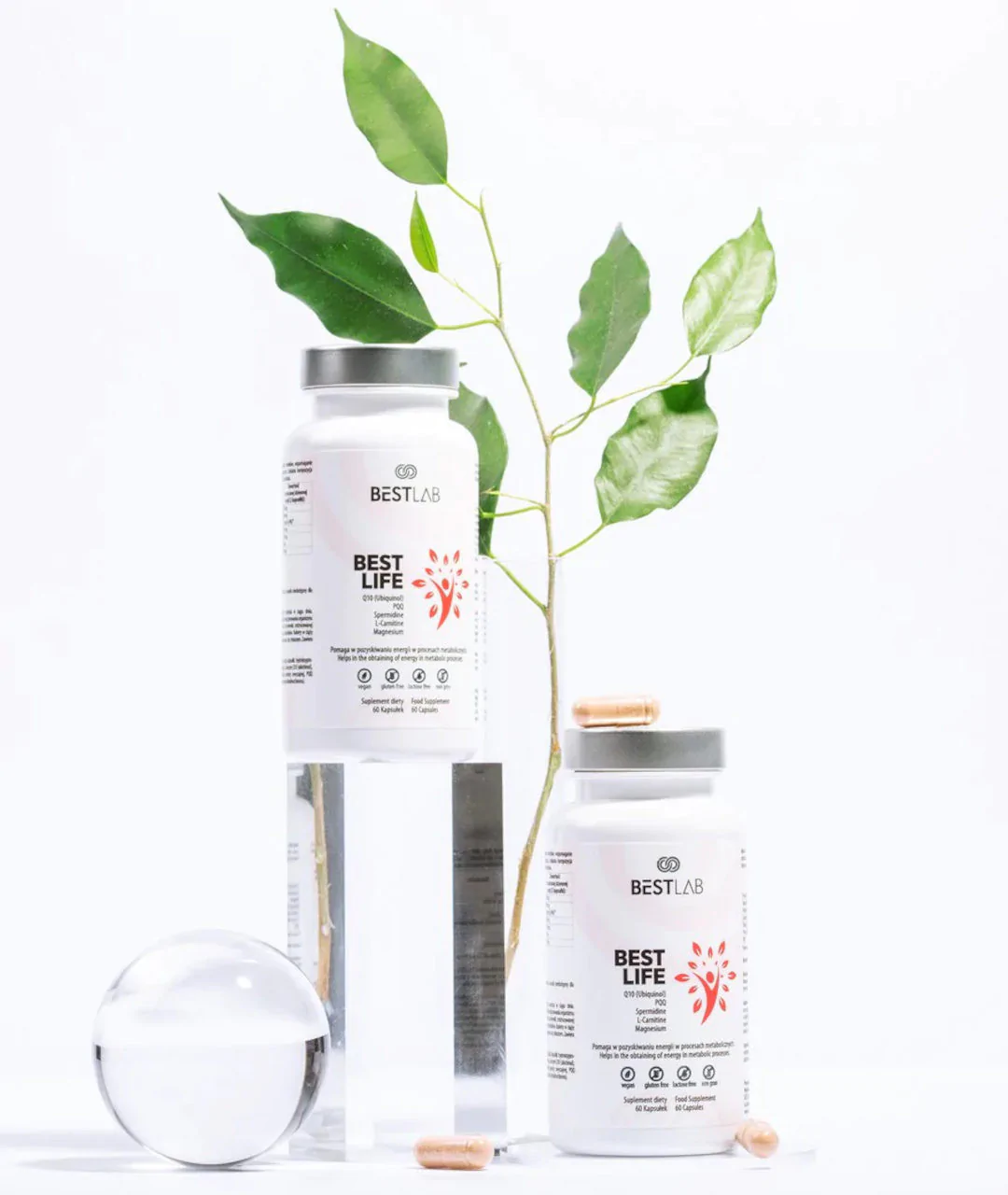 BestLife 60 pcs. 2