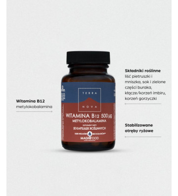 Dietary supplement Vitamin B12 Methylcobalamin 500 mcg Complex 50 pcs. - Terranova 2