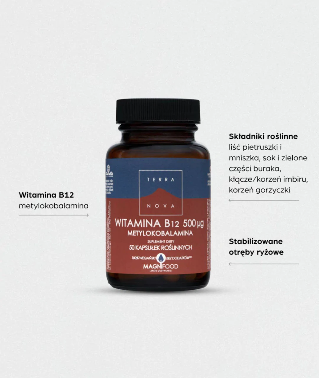 Suplement diety Witamina B12 Metylokobalamina 500 mcg Kompleks 50 szt. 2