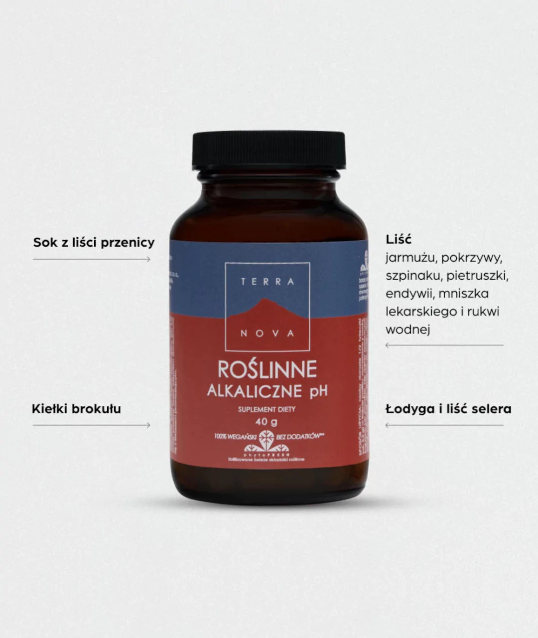 Dietary Supplement Plant Alkaline pH 40g 2