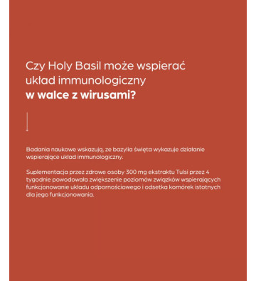 Suplement diety Holy Basil 50 szt 3