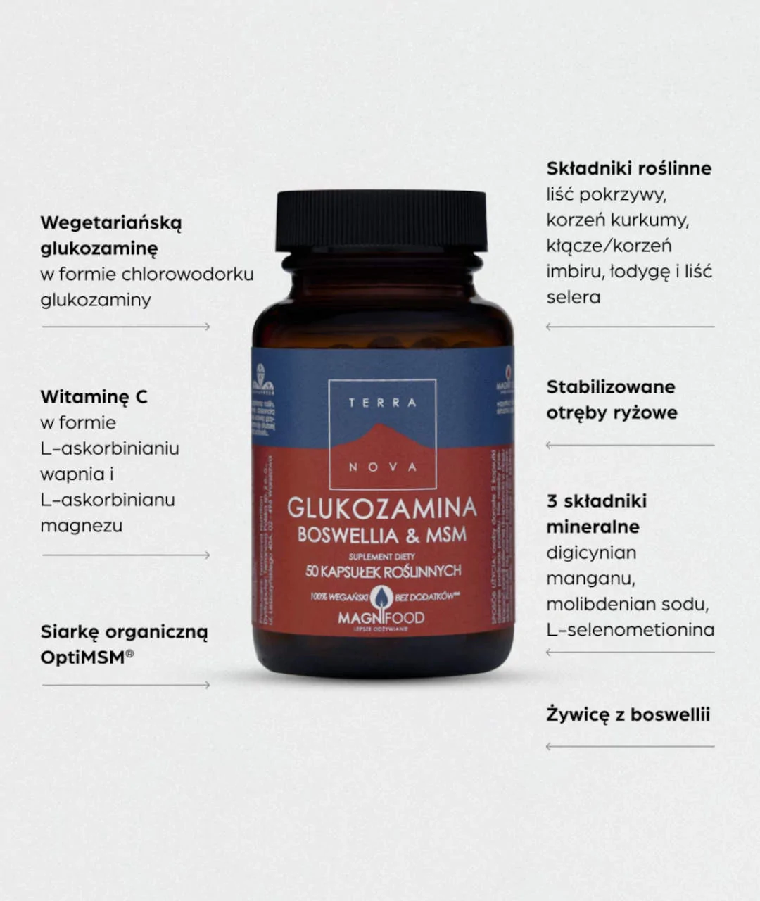 Suplement diety Glukozamina Boswellia & MSM Kompleks 50 szt. Terranova