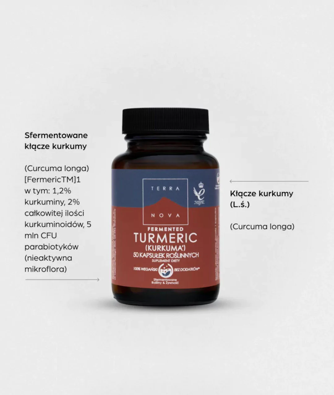 Suplement diety Fermented Turmeric 50 szt 2