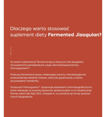 Suplement diety Fermented Jiaogulan 50 szt. - Terranova 3