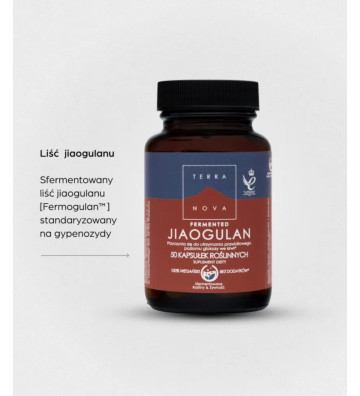 Suplement diety Fermented Jiaogulan 50 szt. 2