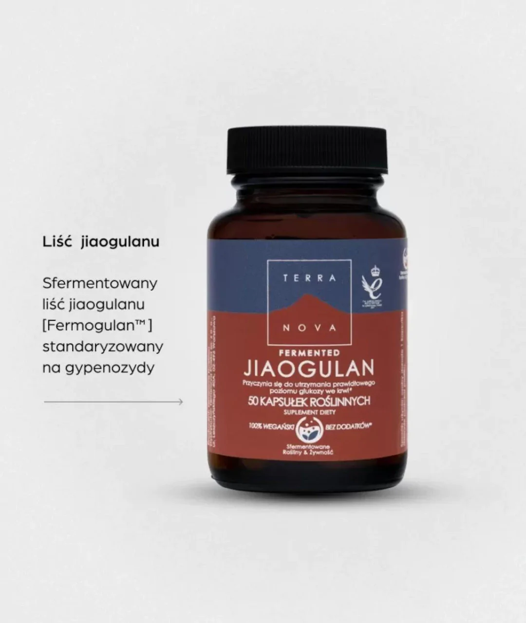 Suplement diety Fermented Jiaogulan 50 szt. 2