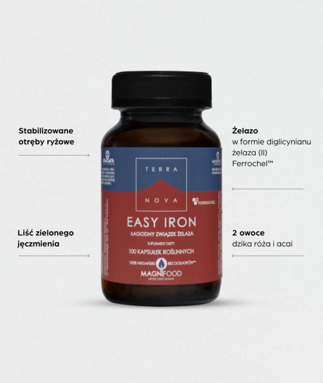 Suplement diety łagodne żelazo Easy Iron 20 mg 100 2