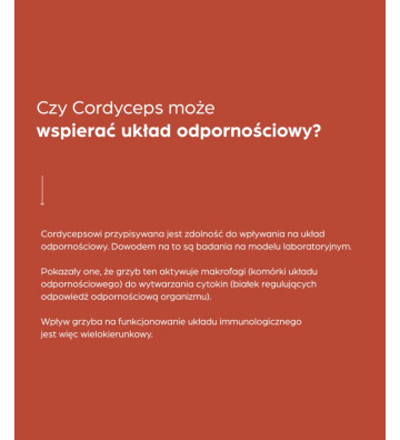 Suplement diety Cordyceps 100% 500 mg 50 szt. - Terranova 3
