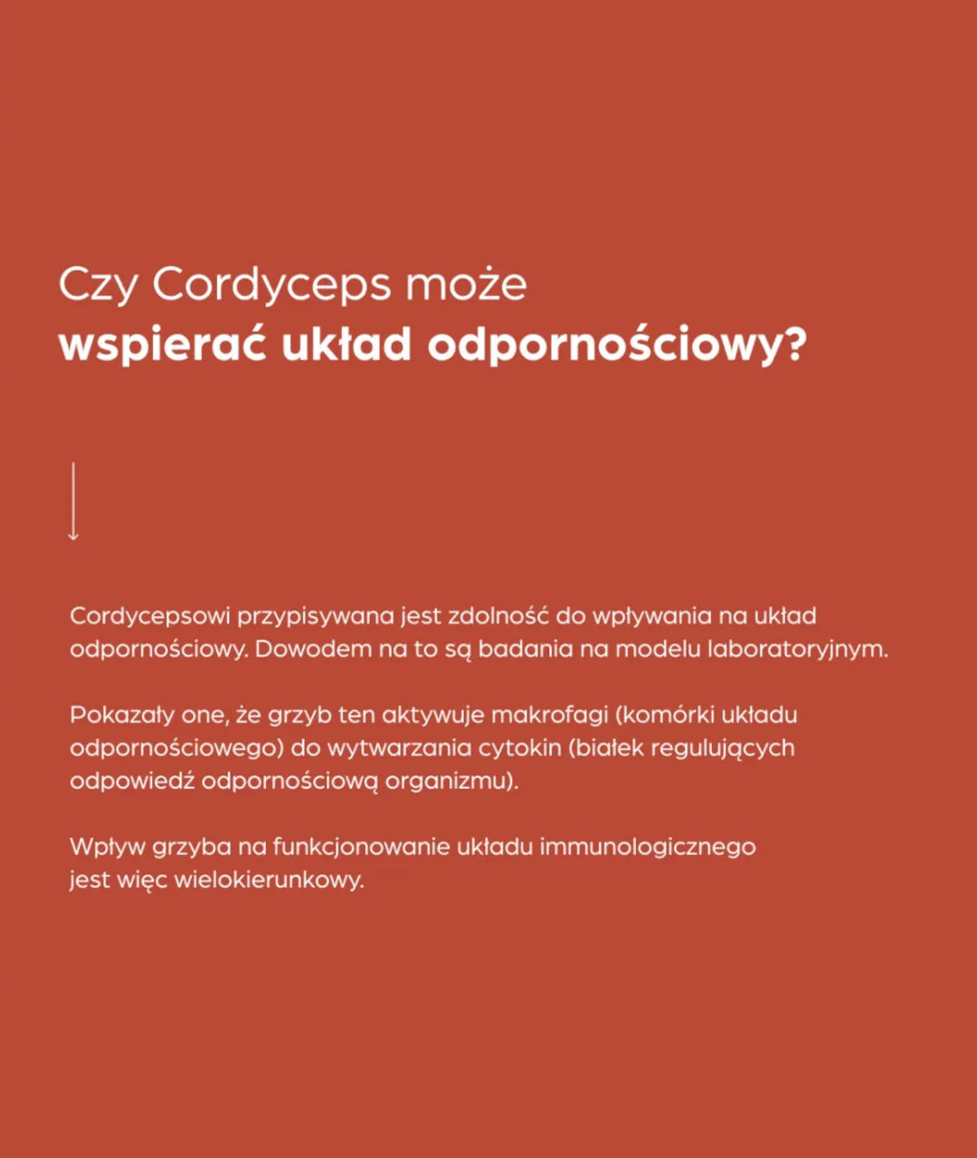 Suplement diety Cordyceps 100% 500 mg 50 szt. 3