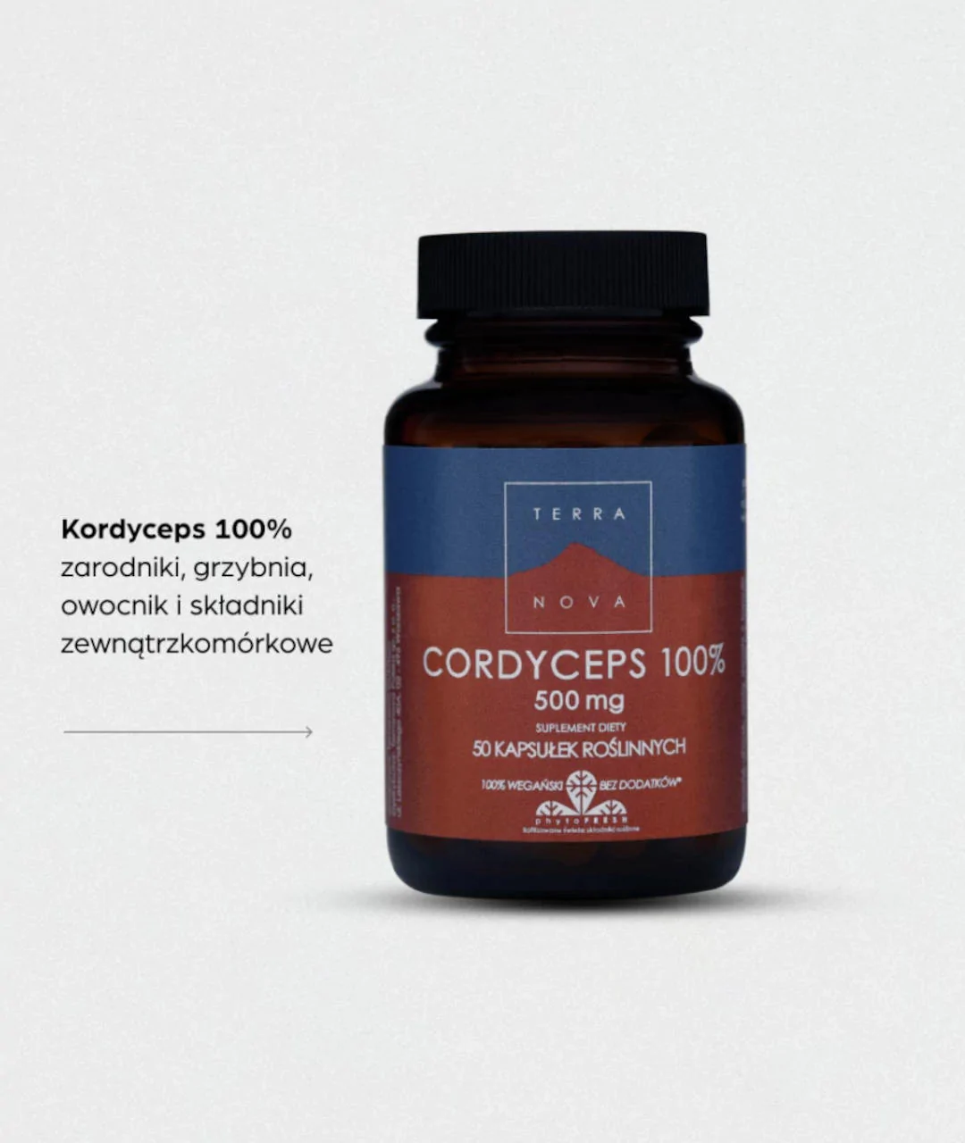 Suplement diety Cordyceps 100% 500 mg 50 szt. 2
