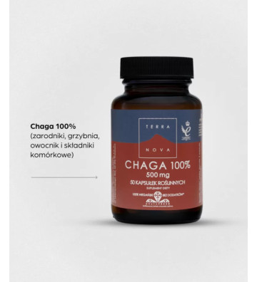 Suplement diety Chaga 100% 500 mg 50 2