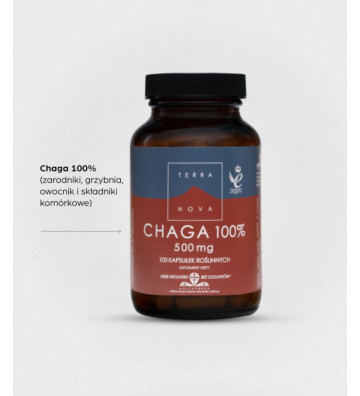 Suplement diety Chaga 100% 500 mg 100 szt. - Terranova 2