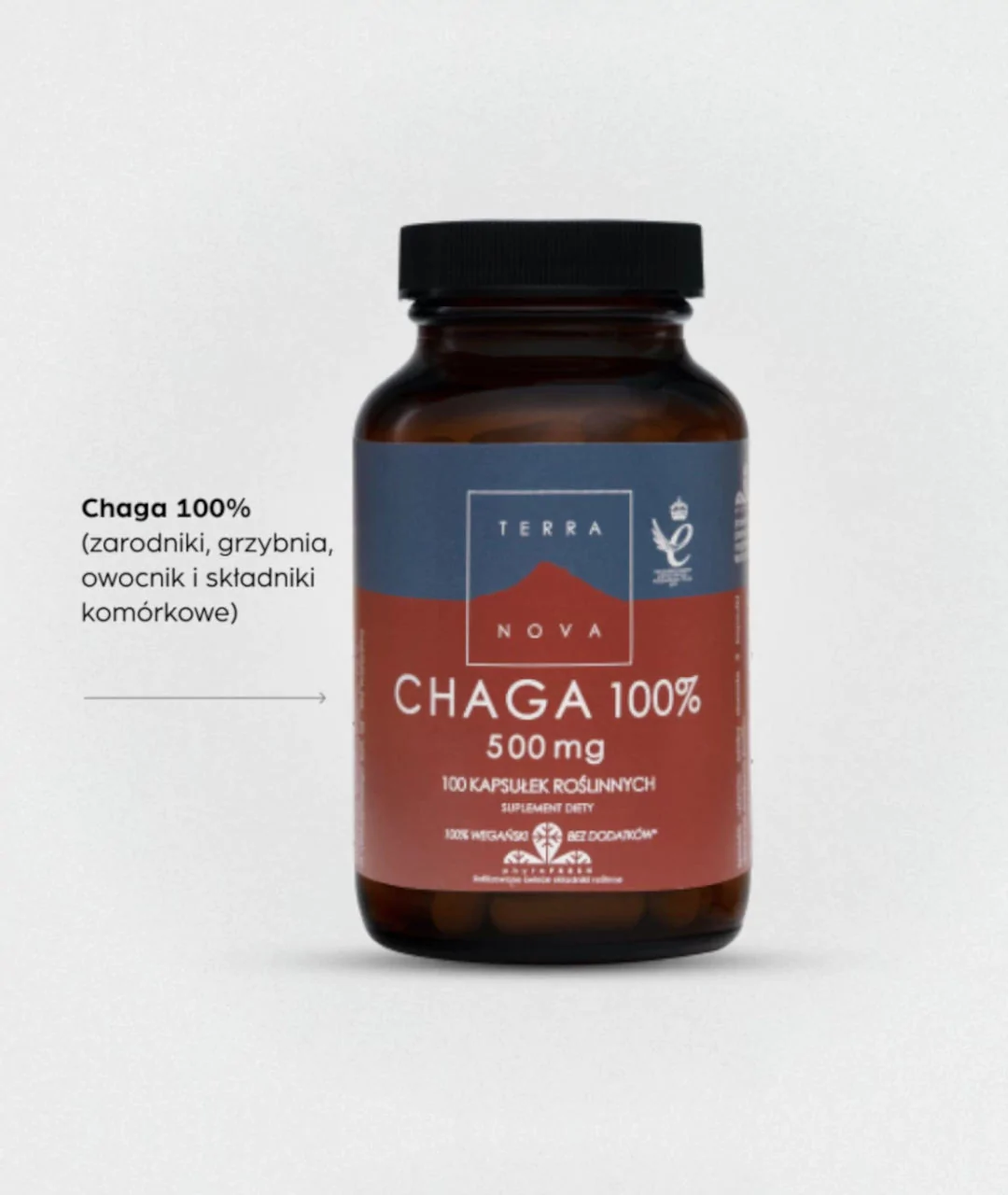 Suplement diety Chaga 100% 500 mg 100 2