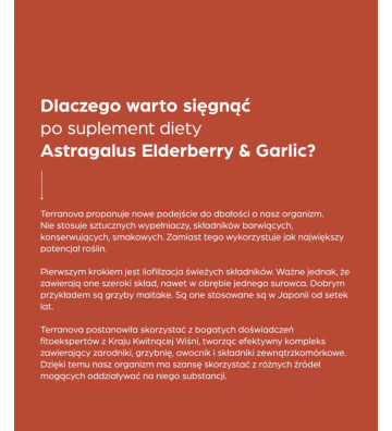 Dietary supplement Astragalus Elderberry & Garlic 100 - Terranova 3