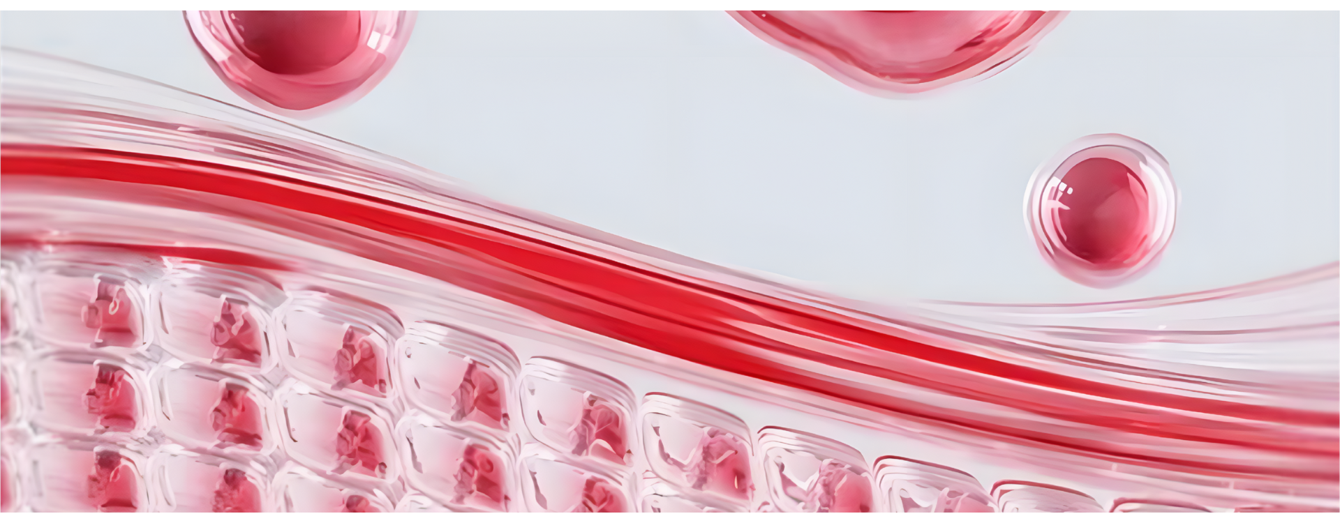 Czy można łączyć kolagen z witaminą D? Wyjaśniamy, jak działa takie połączenie